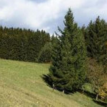 Landgasthof Hauser Immendingen Exteriör bild