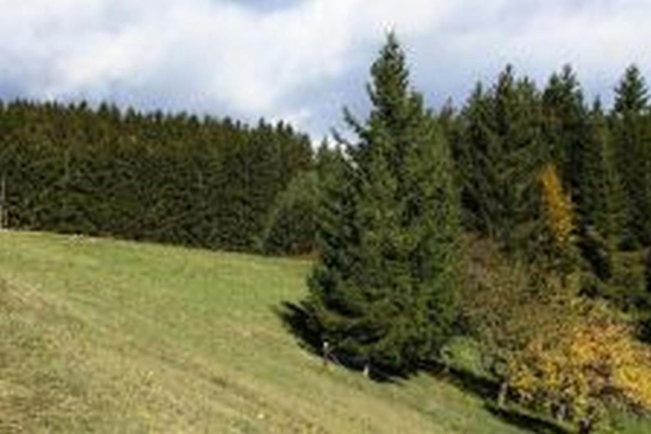 Landgasthof Hauser Immendingen Exteriör bild